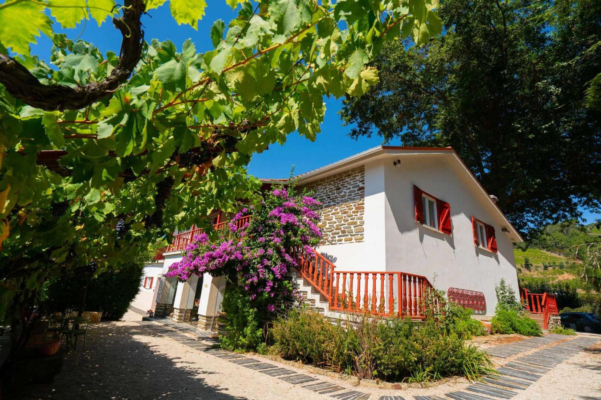 Quinta Da Pousada Casa De Campo Santa Marta de Penaguião المظهر الخارجي الصورة
